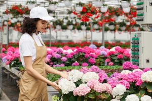 Florist Wholesaler: The Secret to a Blooming Flower Business